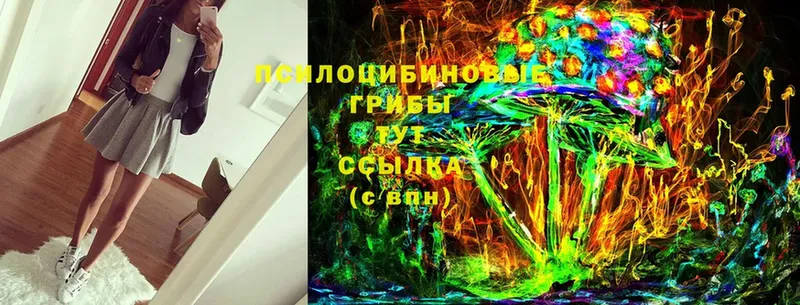 Галлюциногенные грибы Cubensis  Костомукша 